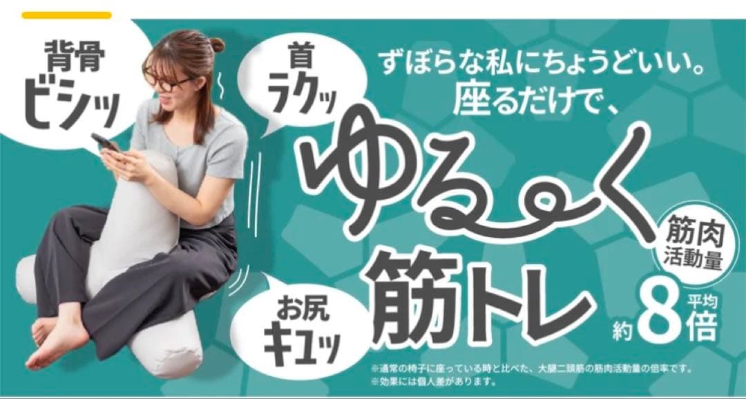 【座るだけで筋肉活動量8倍！】ゆる筋トレビーズクッション -Tetra Hug-