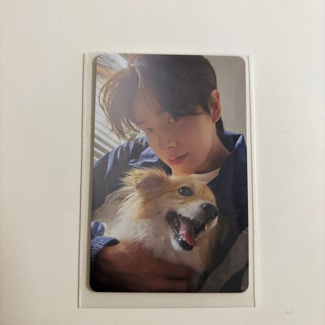 ENHYPEN FC トレカ　アンケート　ジェイク　JAKE