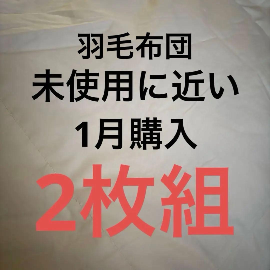 【2枚組】羽毛肌掛け布団 ダウンケット 薄掛け